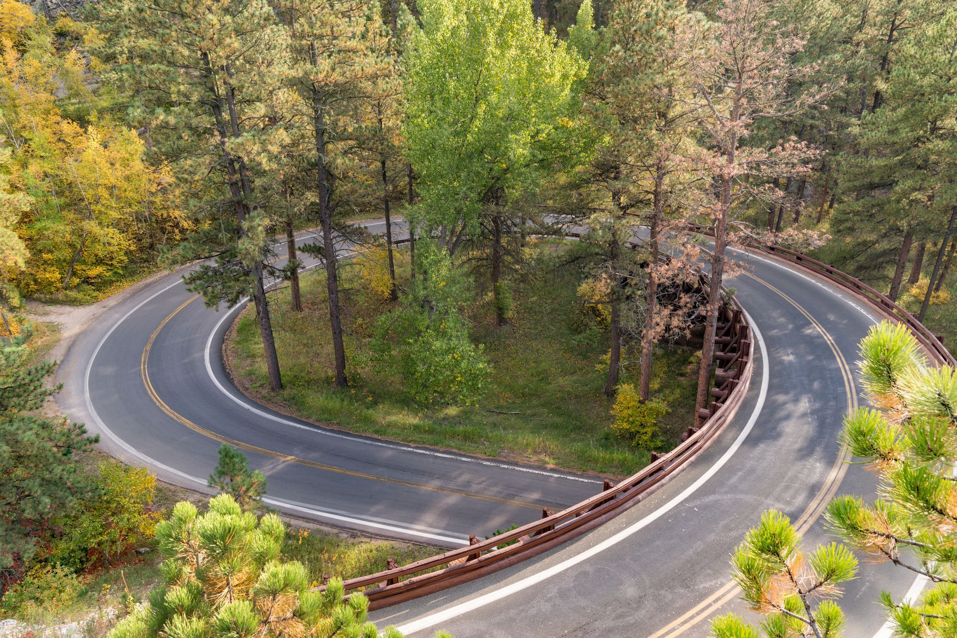 An aerial view of a winding road through a forest.