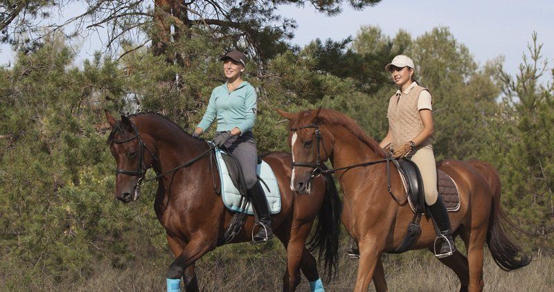 Two women are riding horses in a field.