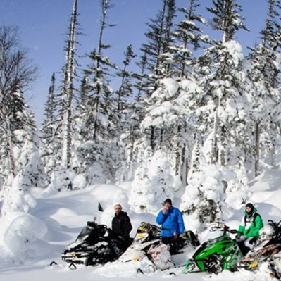 A group of snowmobiles are parked in a snowy forest
