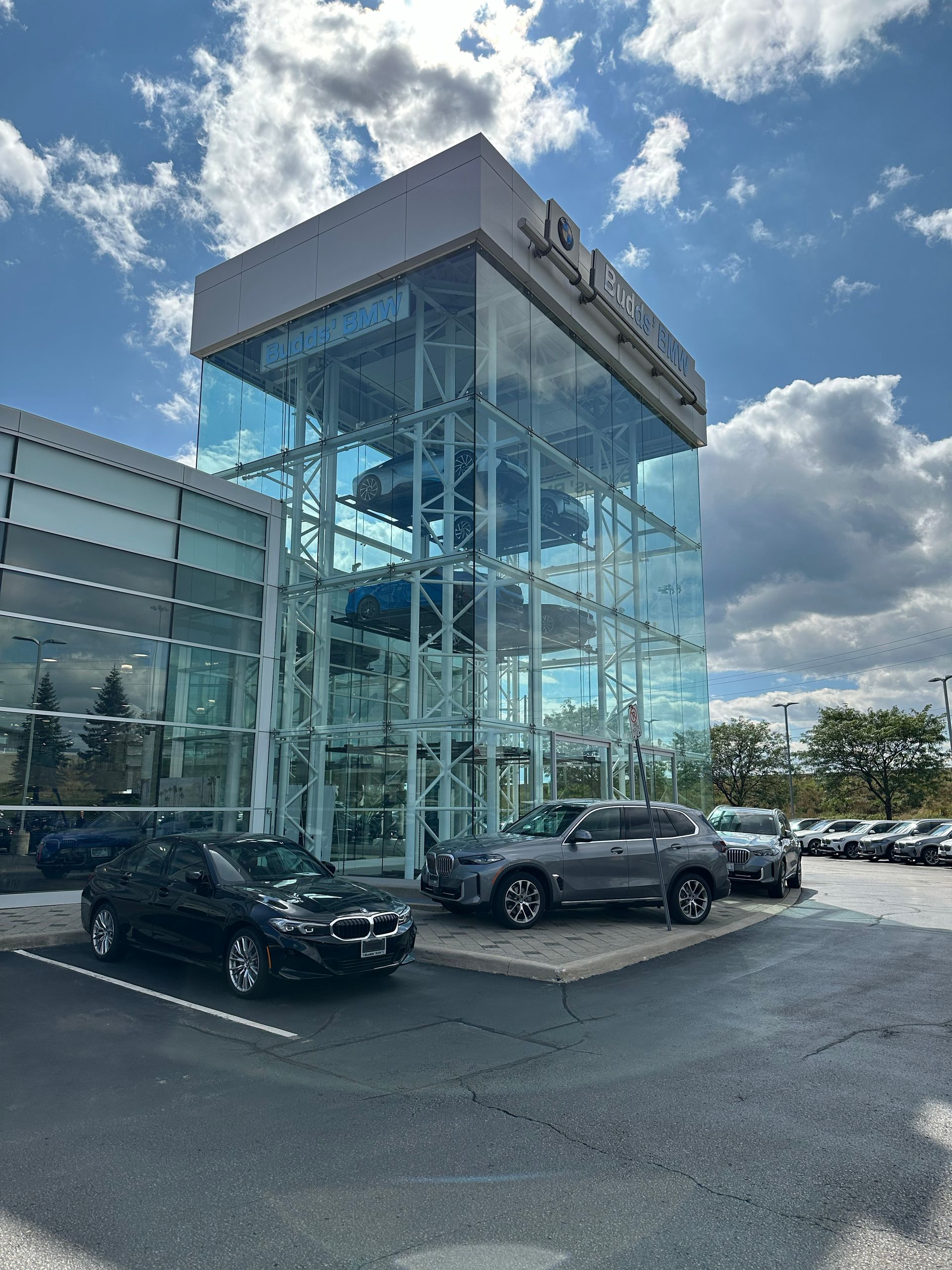 Car Display Stackers | Display your cars in style