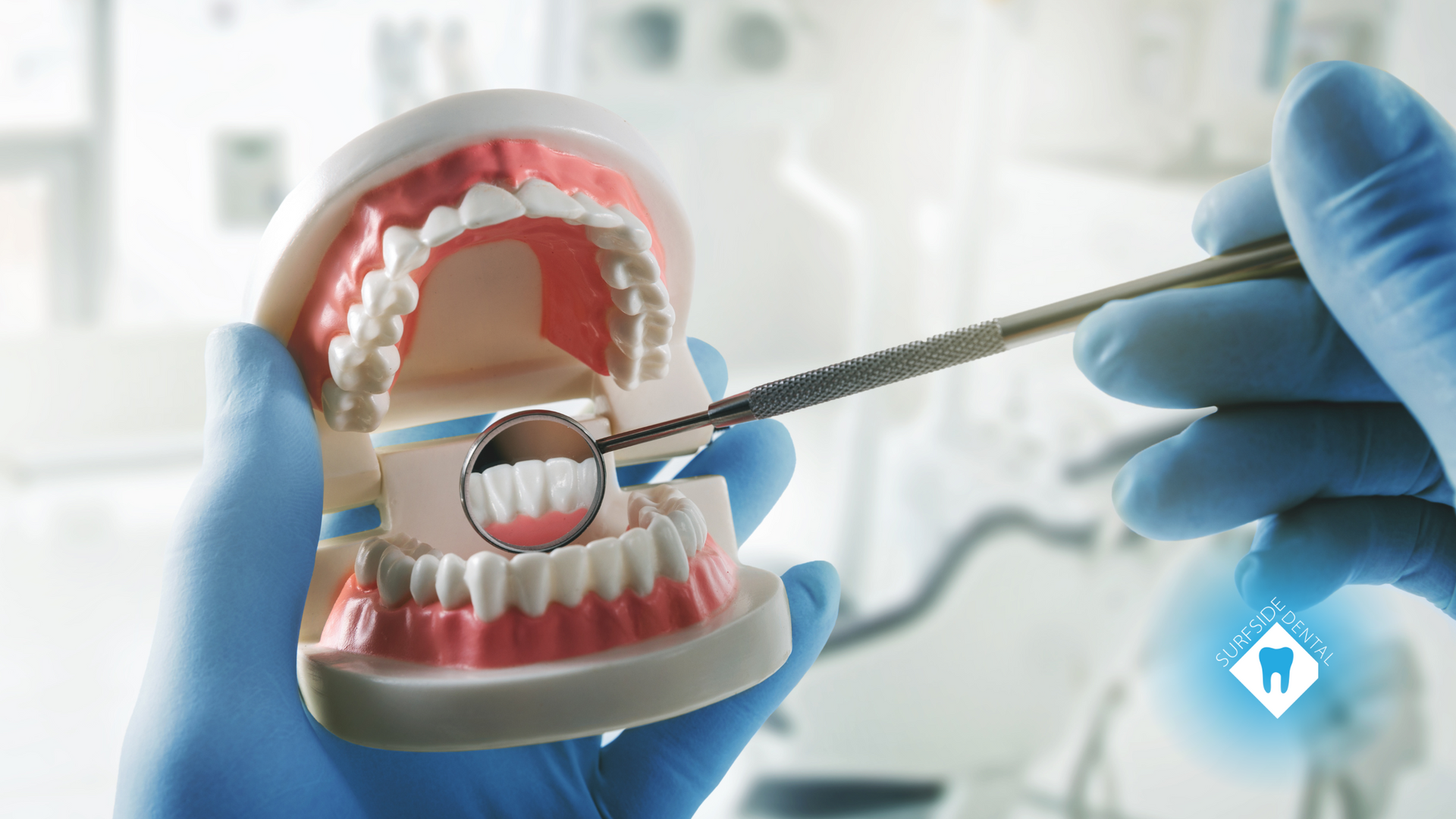 A dentist is examining a model of teeth with a mirror.