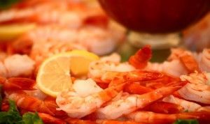 What's Fishy? Not Callier's Lenten Offerings for Meatless Friday's!