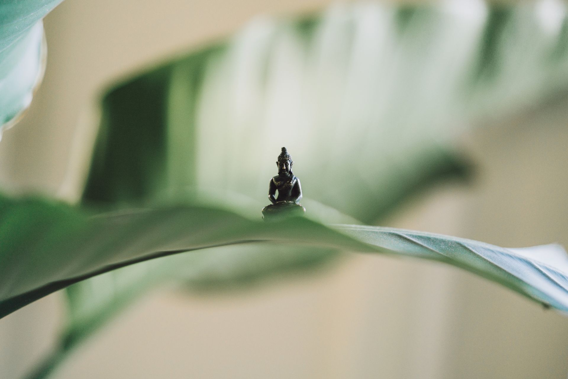 Reflexolofy treatments