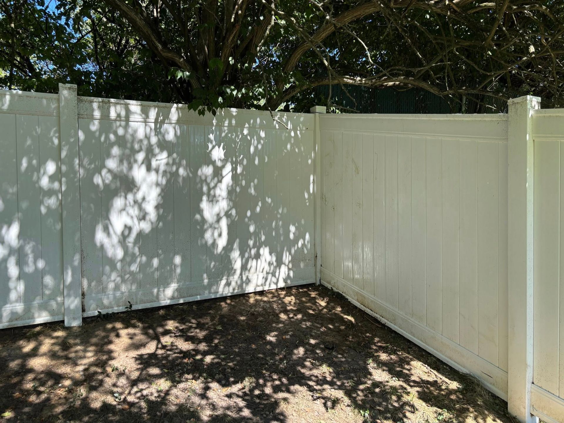 White vinyl fence in a yard, dappled with tree shadows.