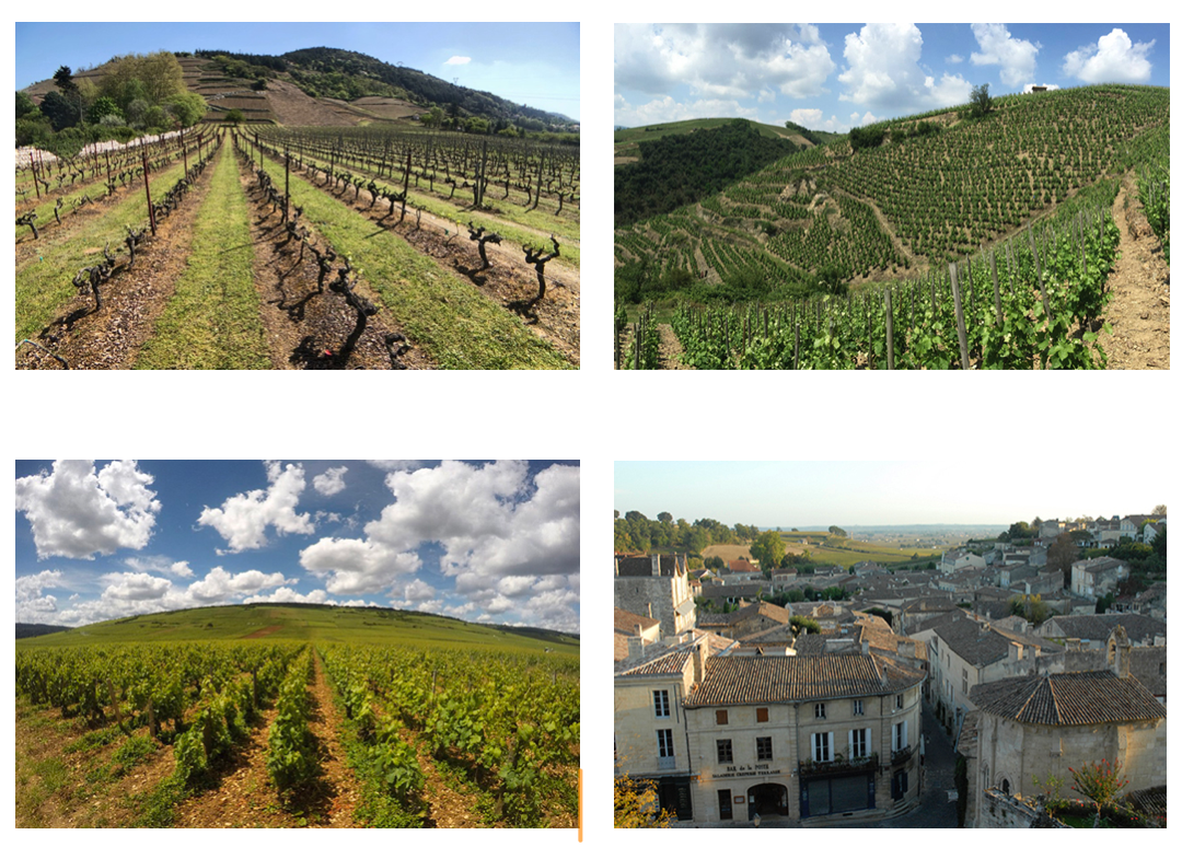 Vineyards on rolling hills, varying perspectives, and a view of a town with tiled roofs under a cloudy sky.