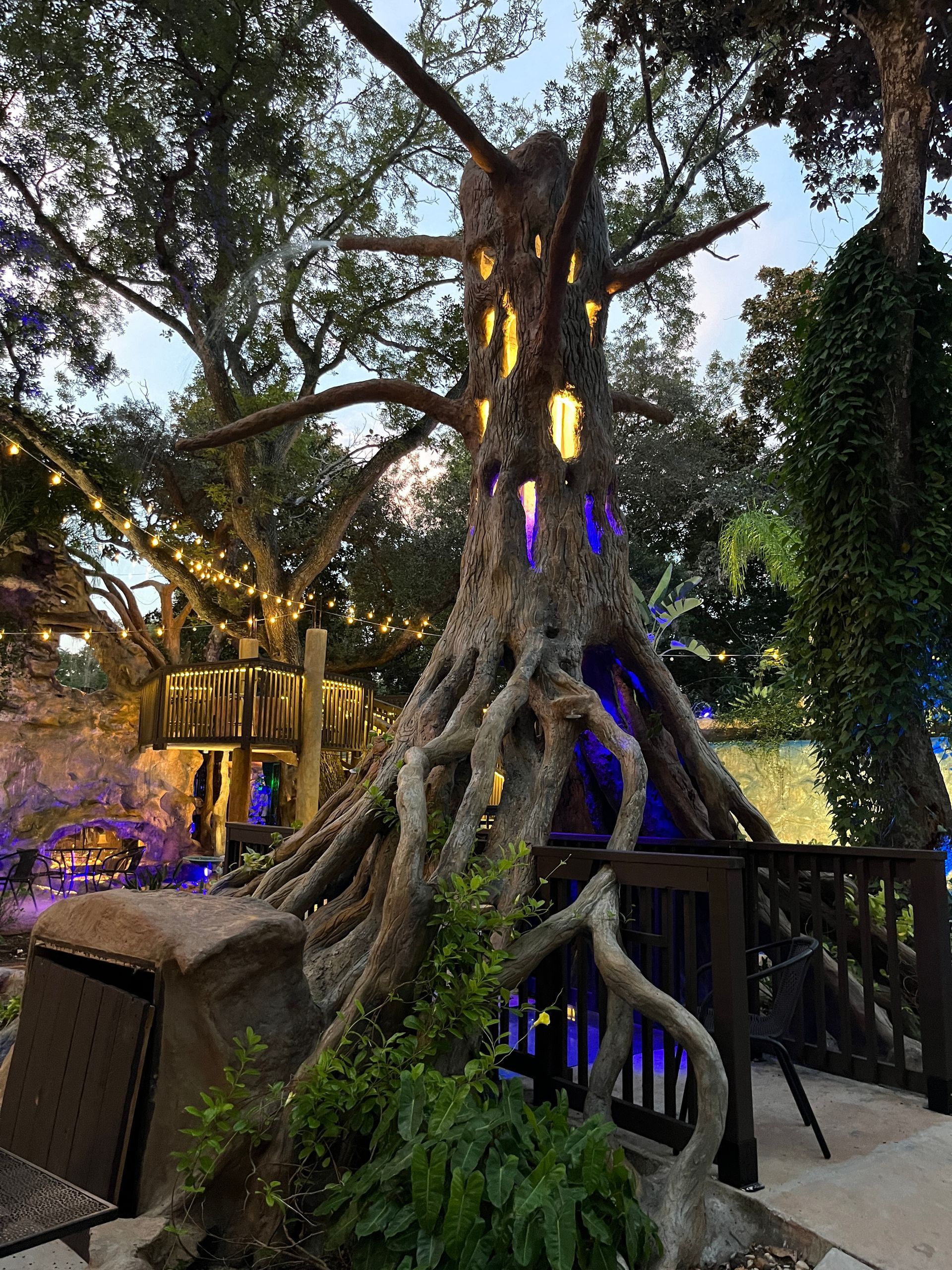 tree of fire and water in palm coast