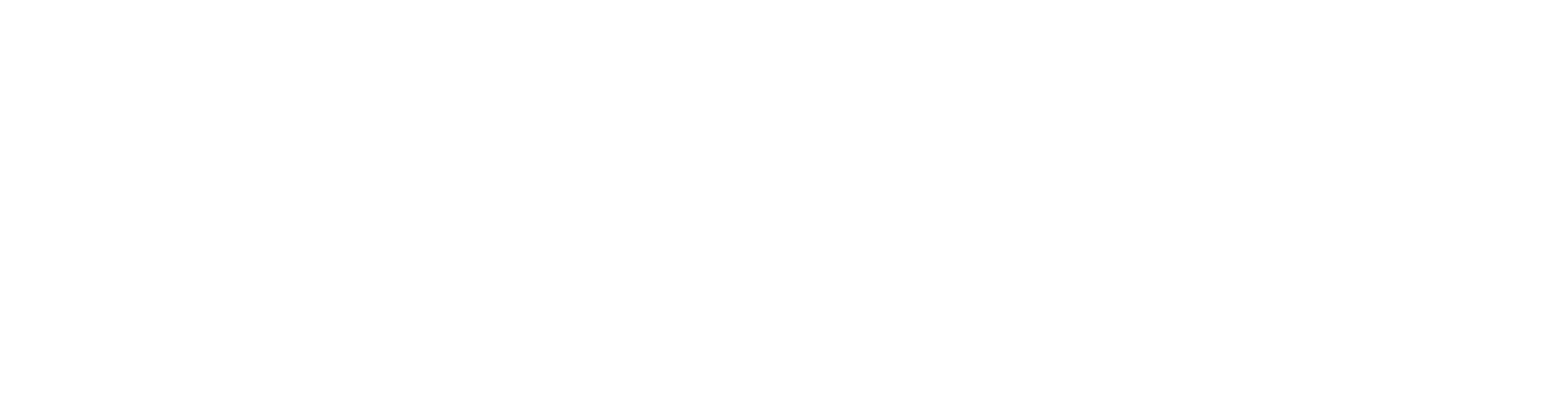 The District at Manhattan Logo