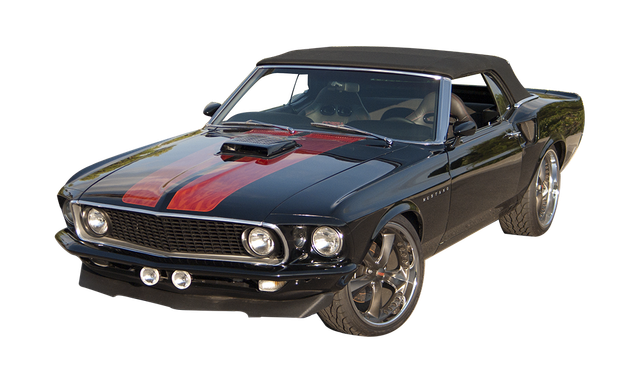 <p class="rteBlock">69-70 Mustang</p>