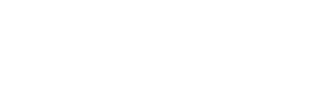 Safeshield Logo