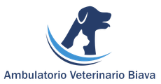 Logo Ambulatorio Veterinario Biava