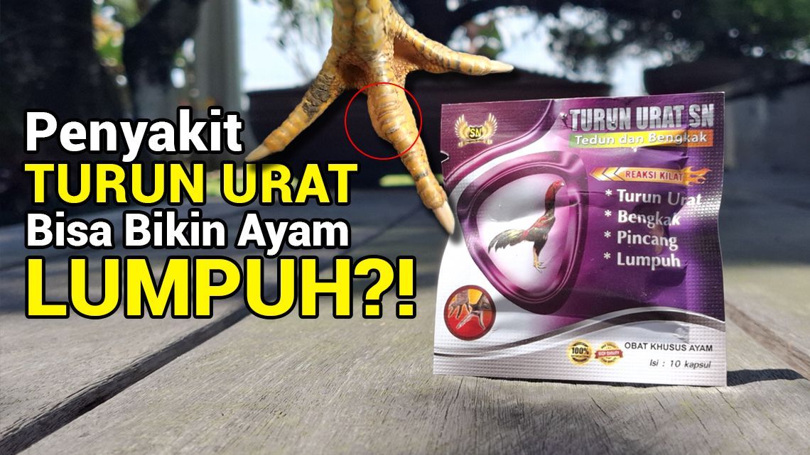 Penyakit Turun Urat Bisa Bikin Lumpuh