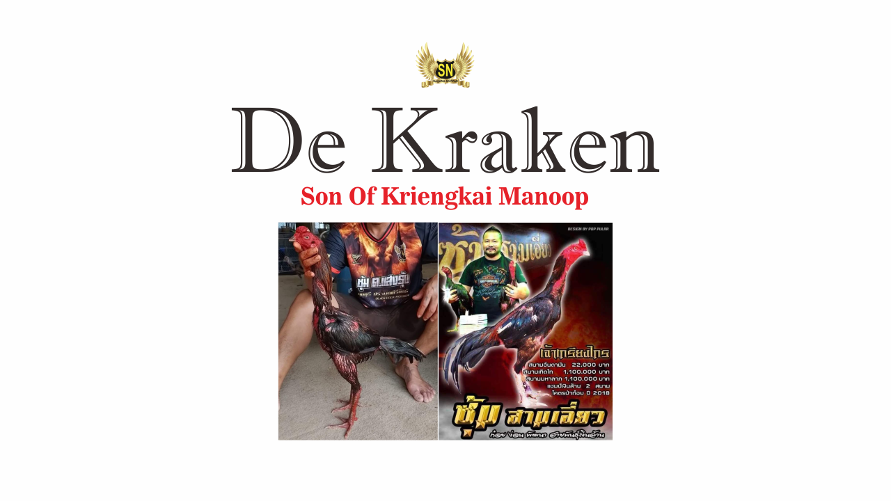 de-kraken-manop