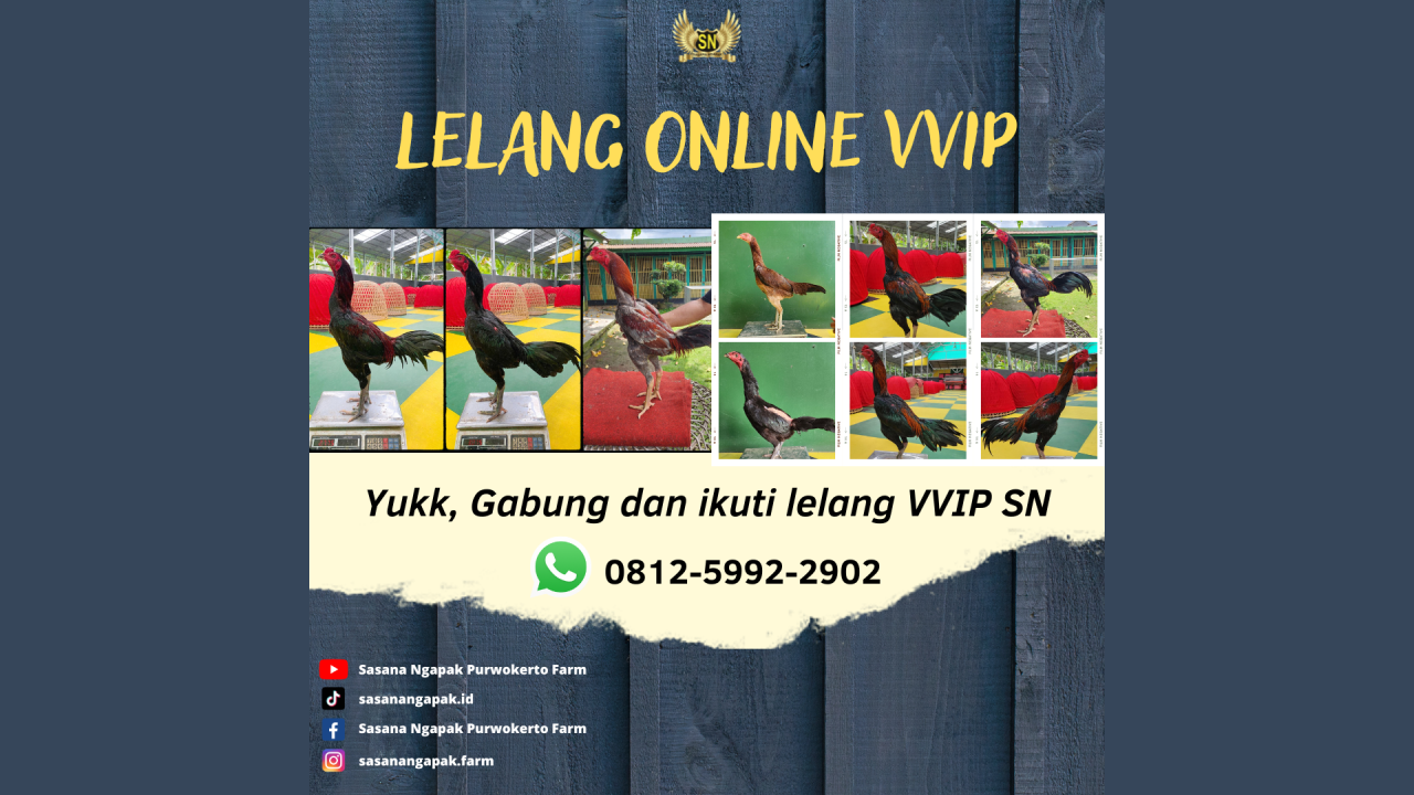 lelang-vvip-sn-10