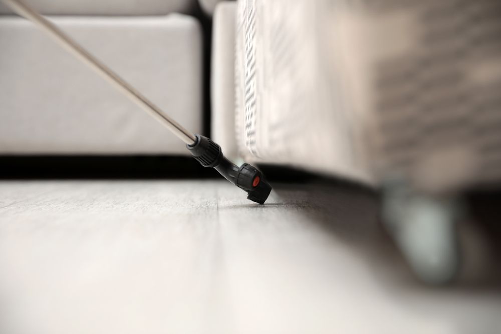 Sprayer nozzle applying pesticide along floor next to furniture.