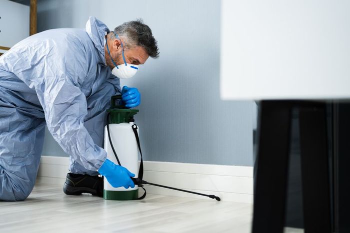 Pest control worker in protective suit spraying insecticide along a baseboard.