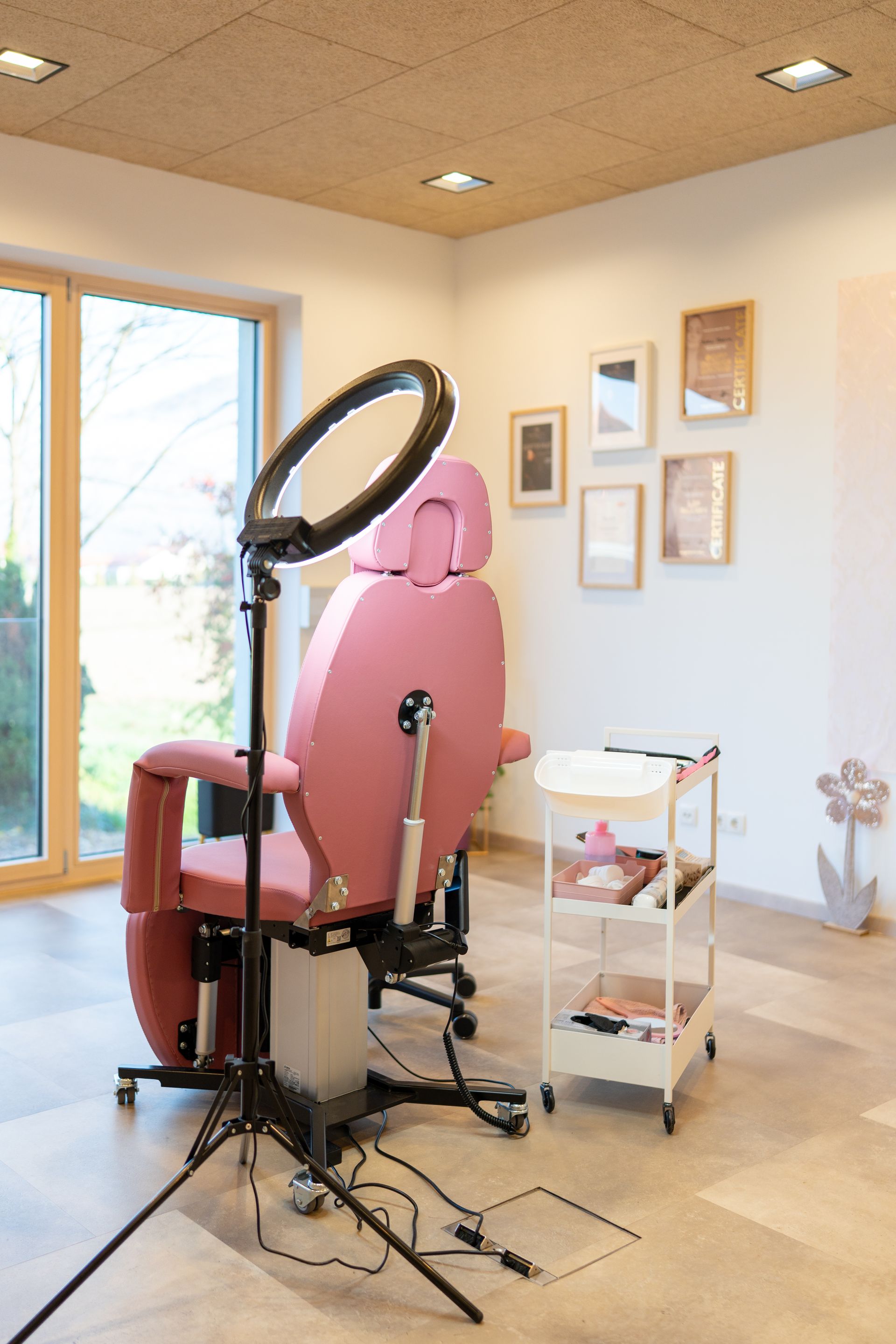 Rosa Friseurstuhl mit Ringlicht, kleiner Rollwagen, gerahmtes Kunstwerk und Fenster.