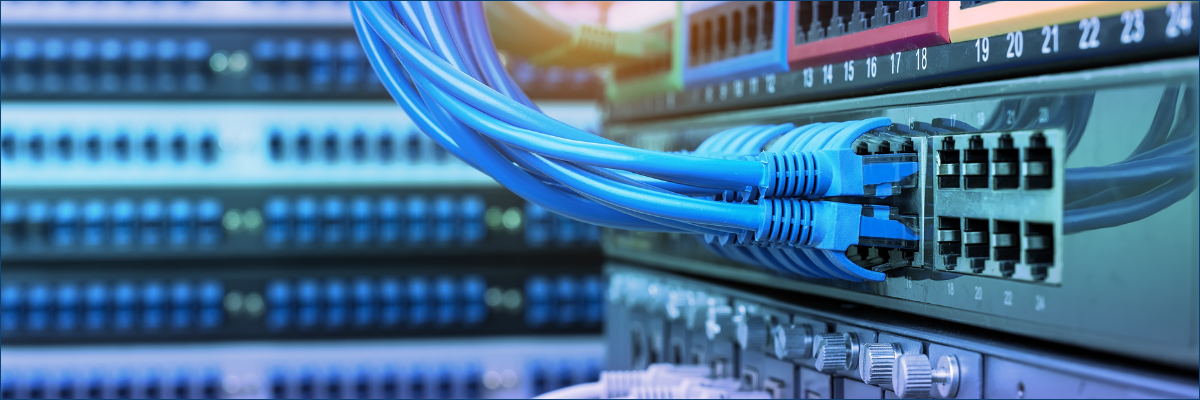 A blue cable is connected to a server in a data center.
