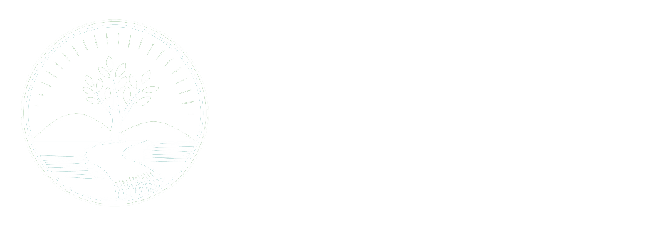 Life InSight - Individualized Therapy, Comprehensive Evaluations
