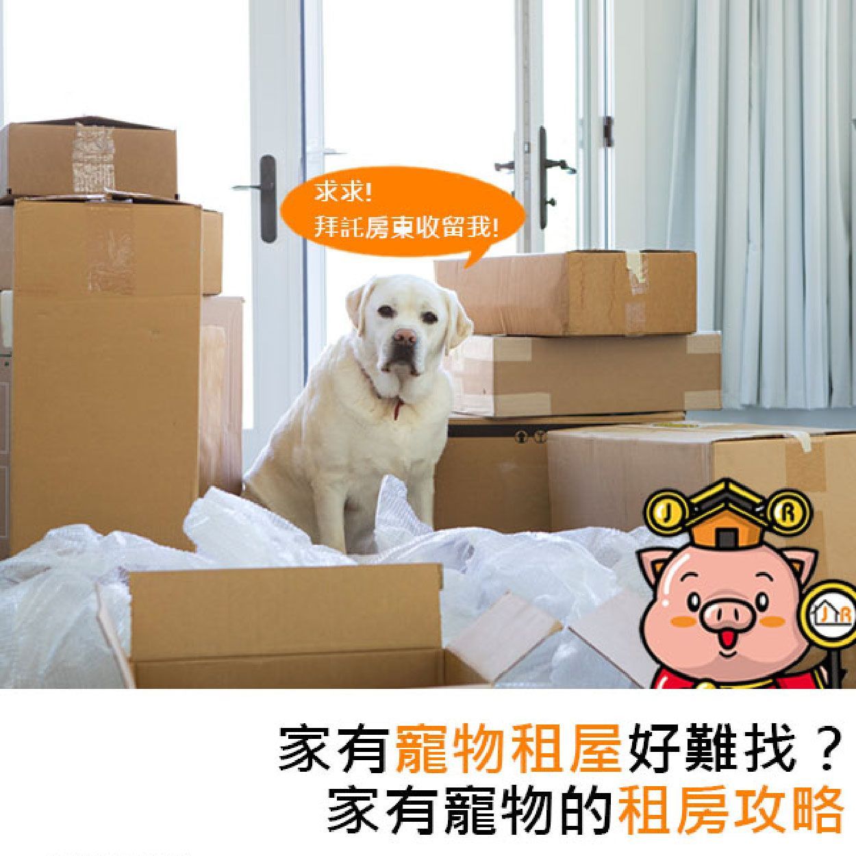 家有寵物租屋好難找?家有寵物的租房攻略