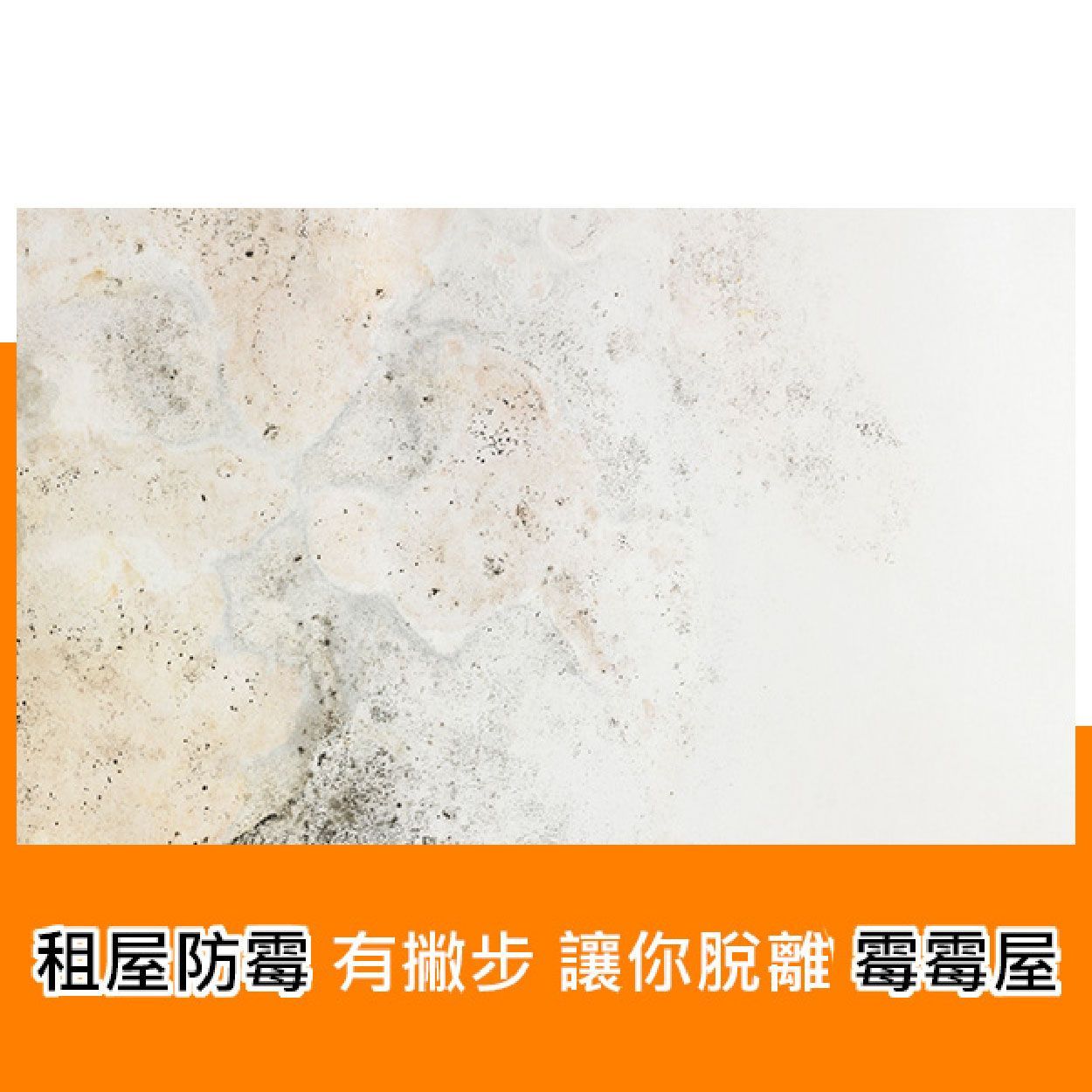 租屋防霉有撇步,讓你脫離霉霉屋