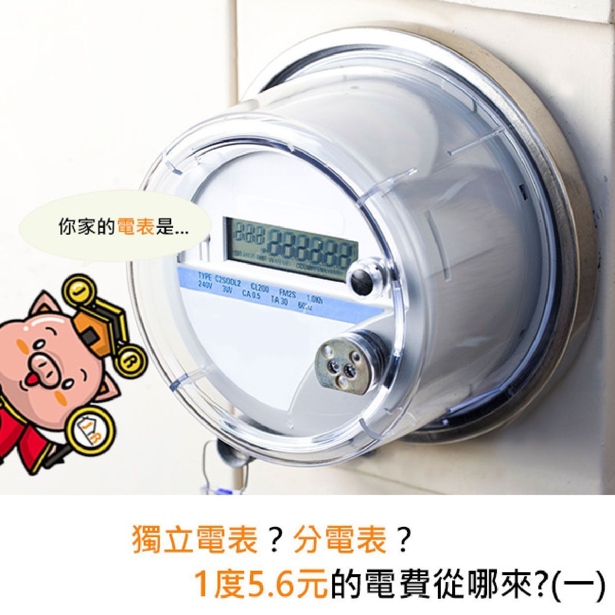 獨立電表?分電表?1度5.6元的電費從哪來?