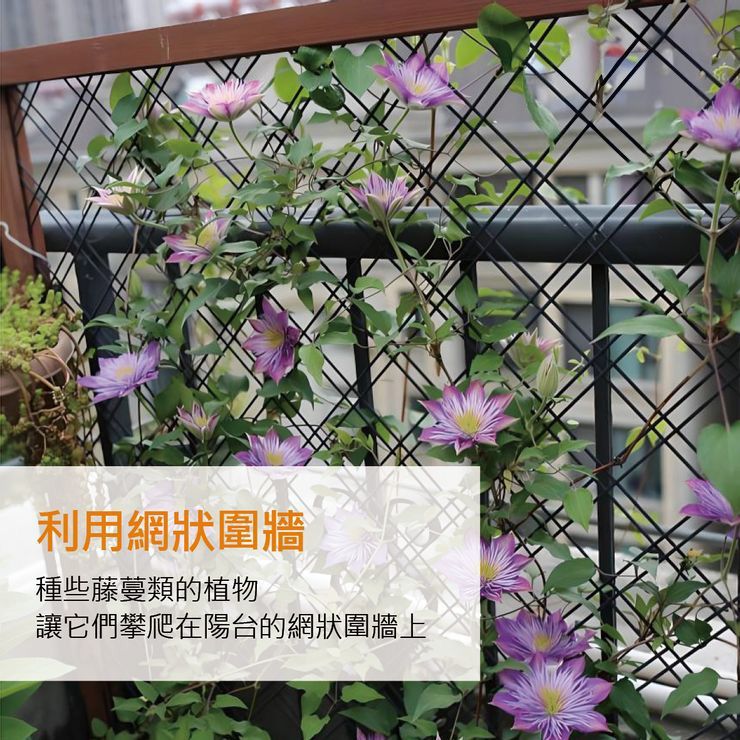 利用網狀圍牆