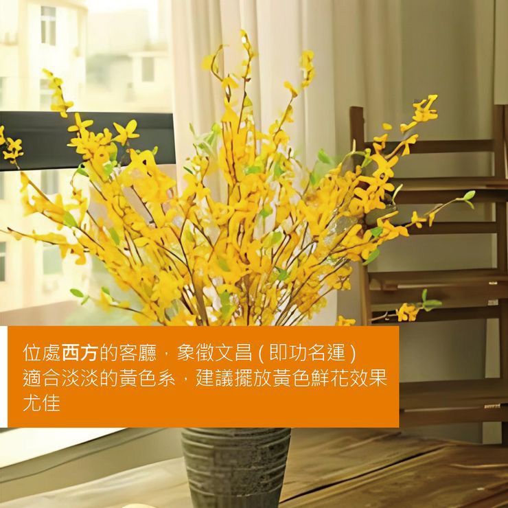 西方的客廳
