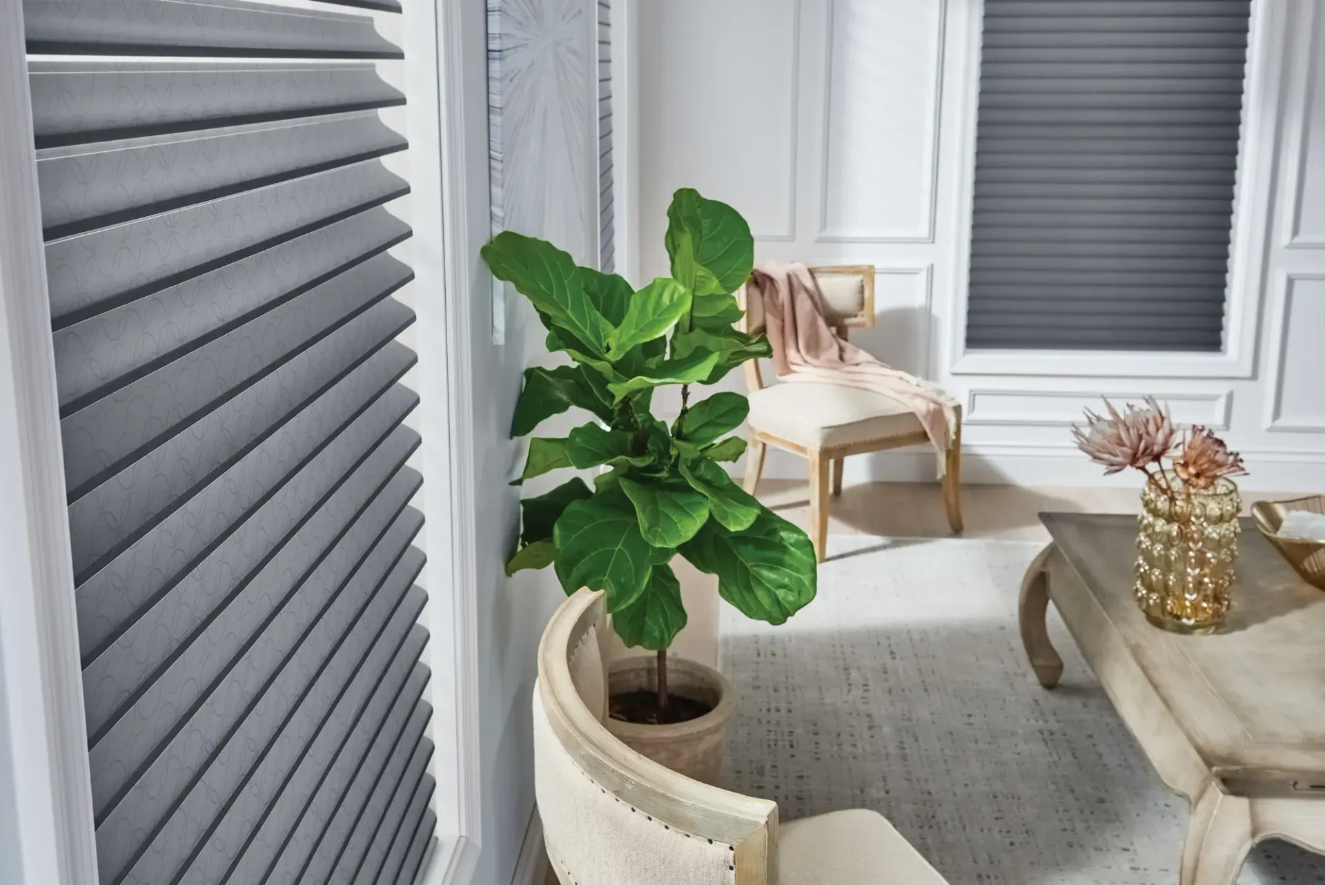 A living room with a plant in a pot , a chair , and a coffee table.