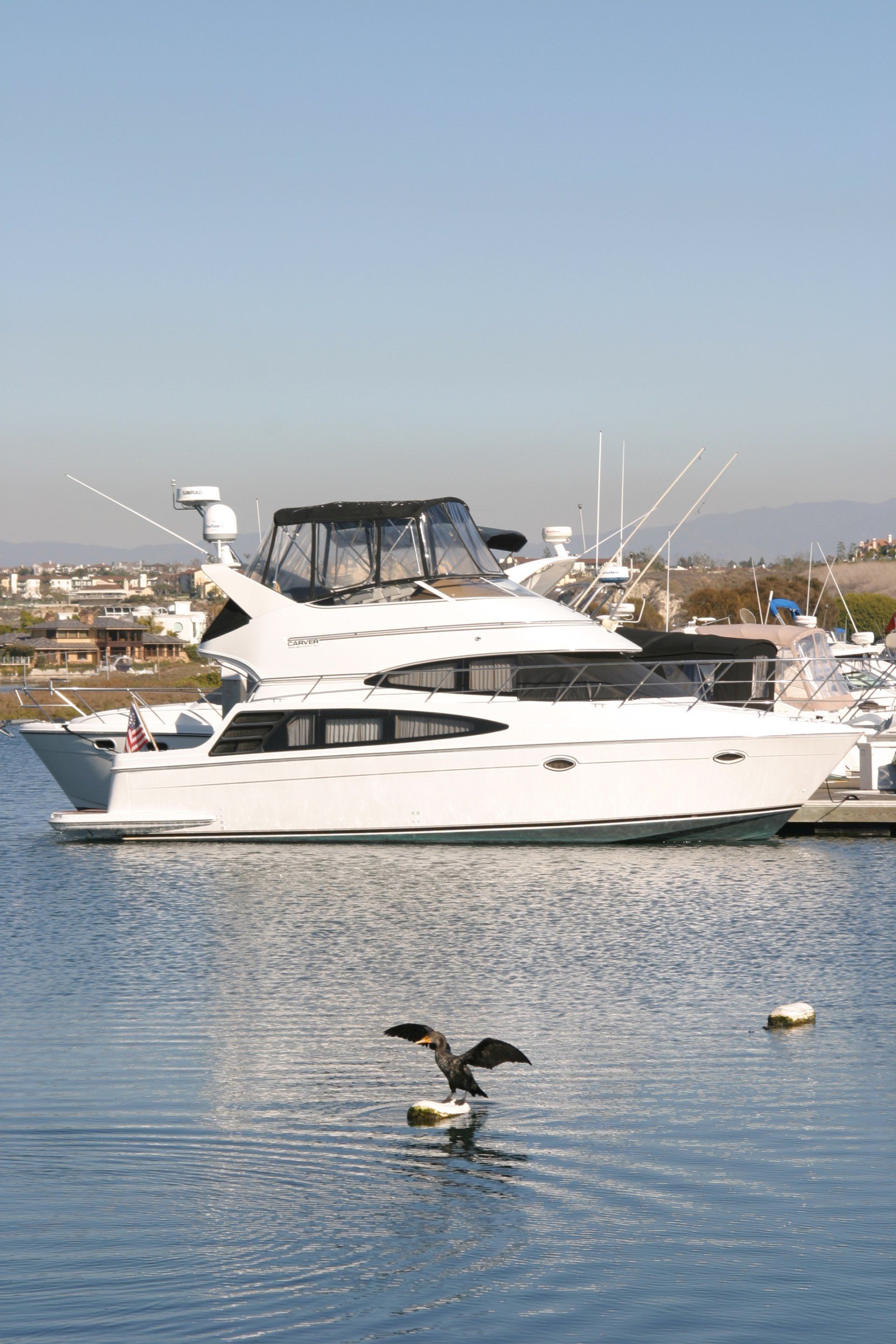 Yacht in marna with sea gull in foreground