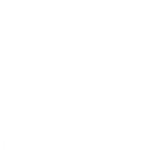 A white background with a few lines on it