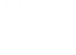 A white background with a few small dots on it.