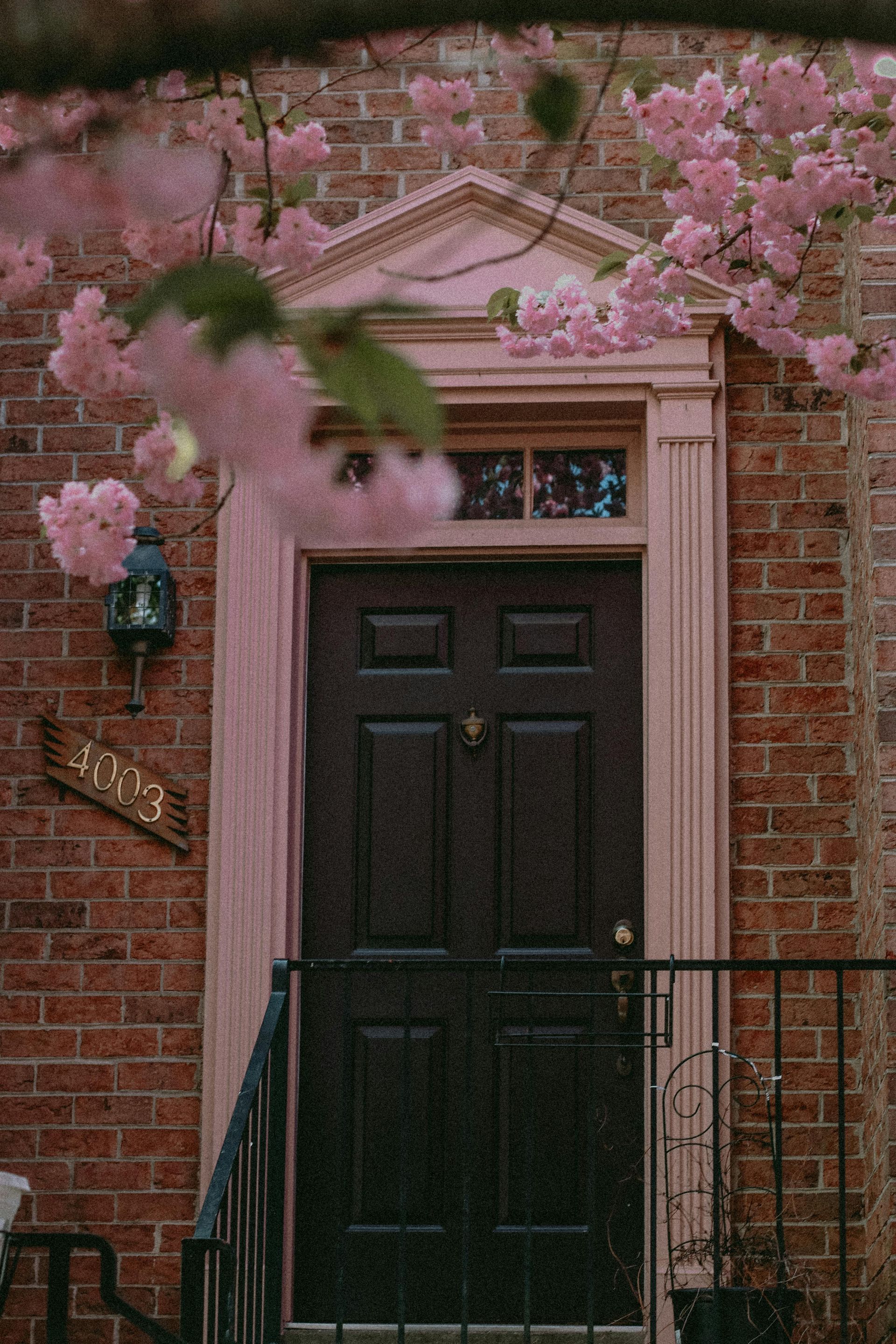 Brick house entrance with dark door, black railings, and pink flowering branches overhead