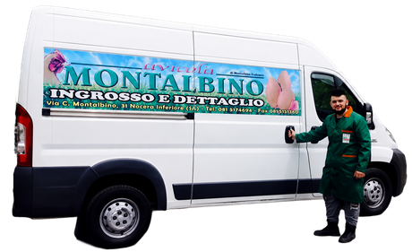 Furgone bianco per le consegne con il logo