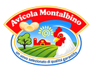 Logo ovale di Avicola Montalbino con gallo, uovo, fattoria e campi verdi su sfondo blu e rosso.