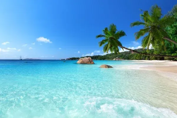 Tropical beach scene with turquoise water, white sand, palm trees, and blue sky.