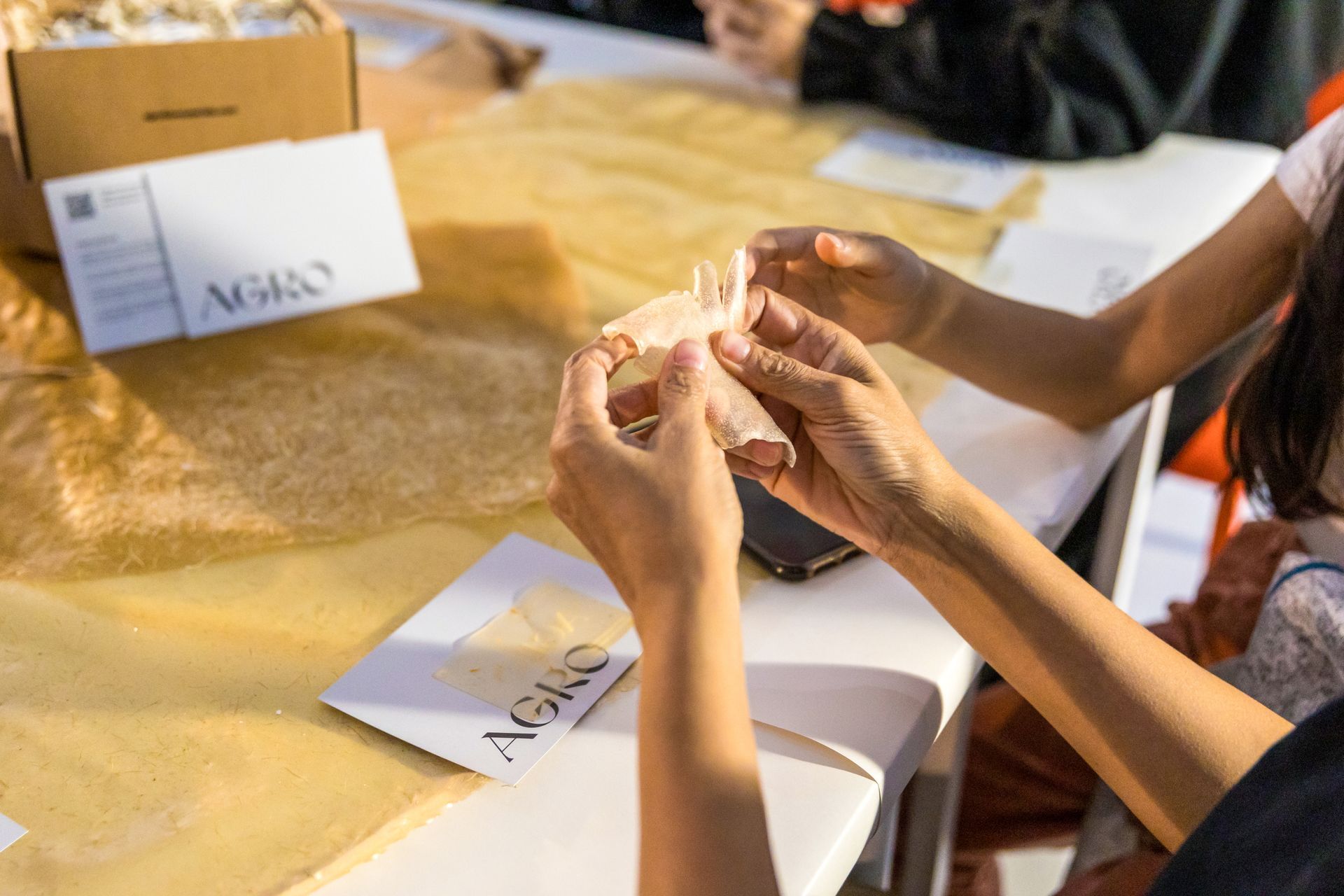 Taller Agro Biomaterials en Barcelona Transfolab