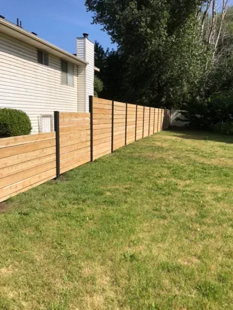 cedar