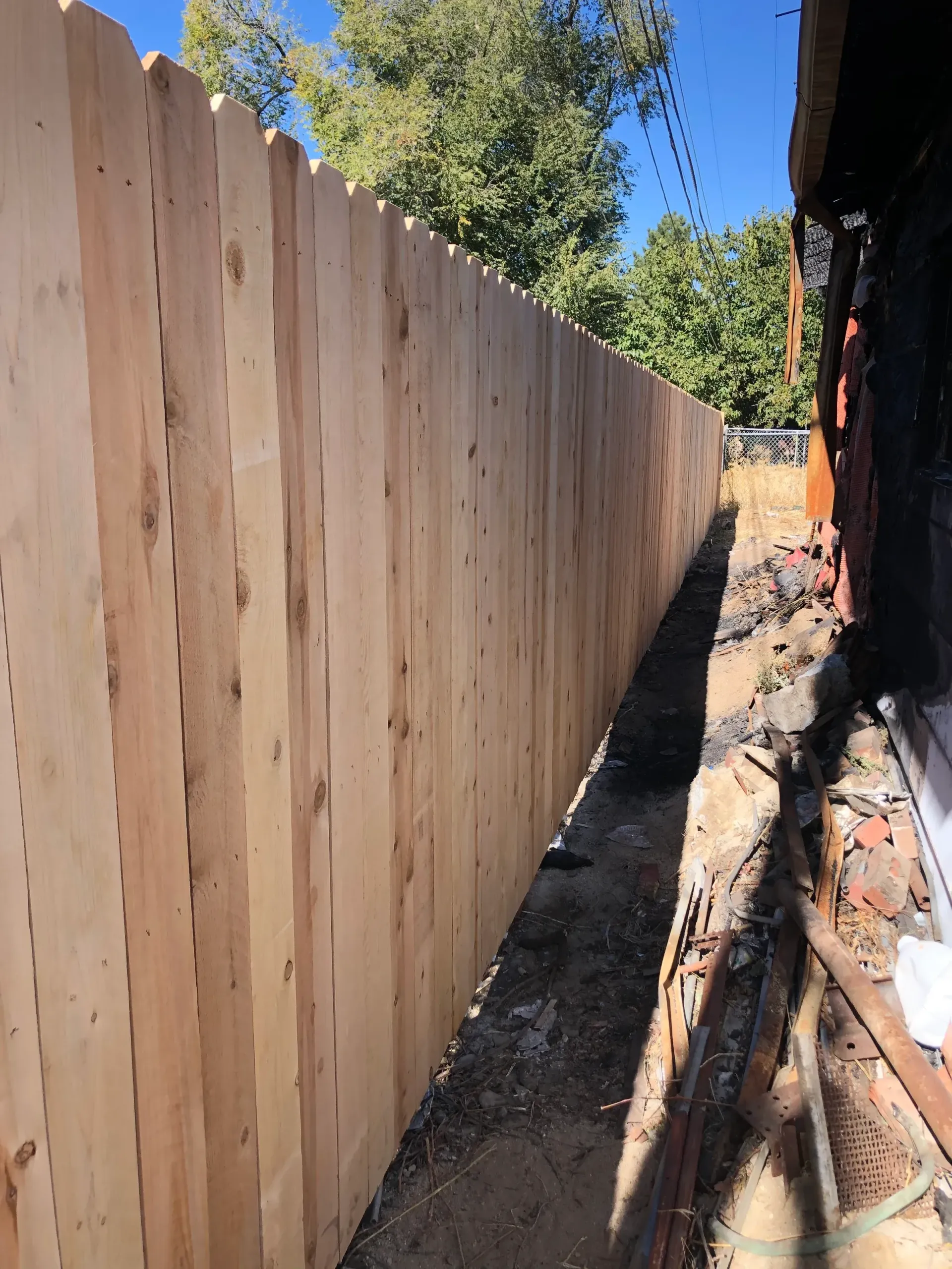 cedar