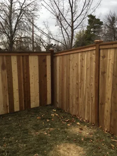 cedar