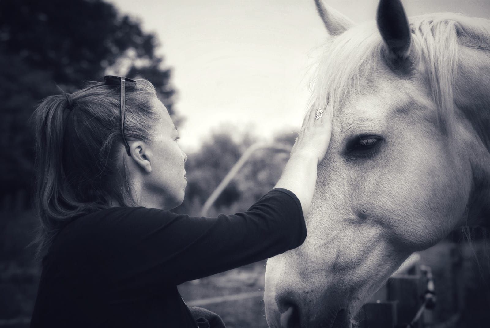 photo of artist with horse Tinus at sanctuary het Wijland