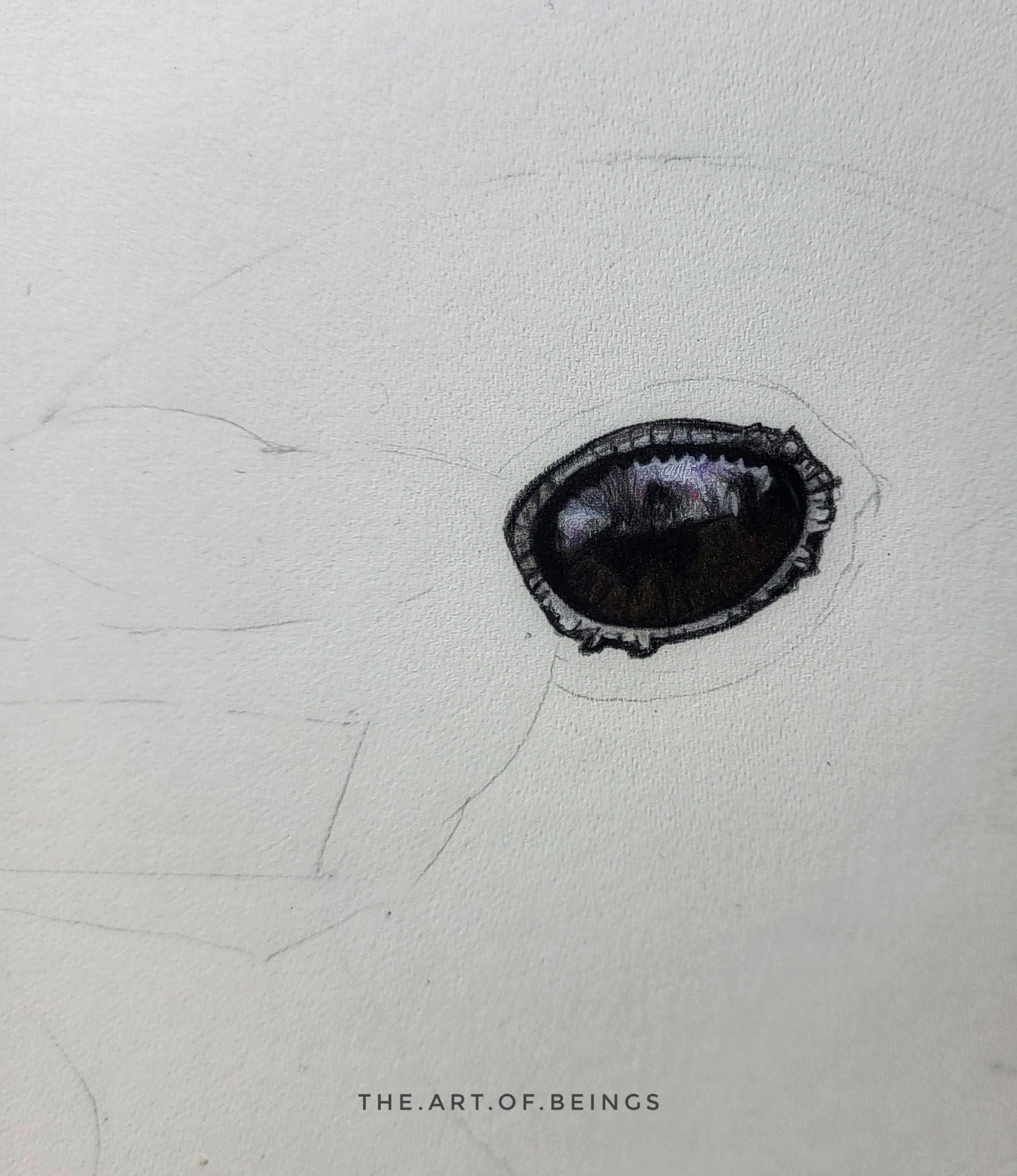 start of drawing the eye of a corvid