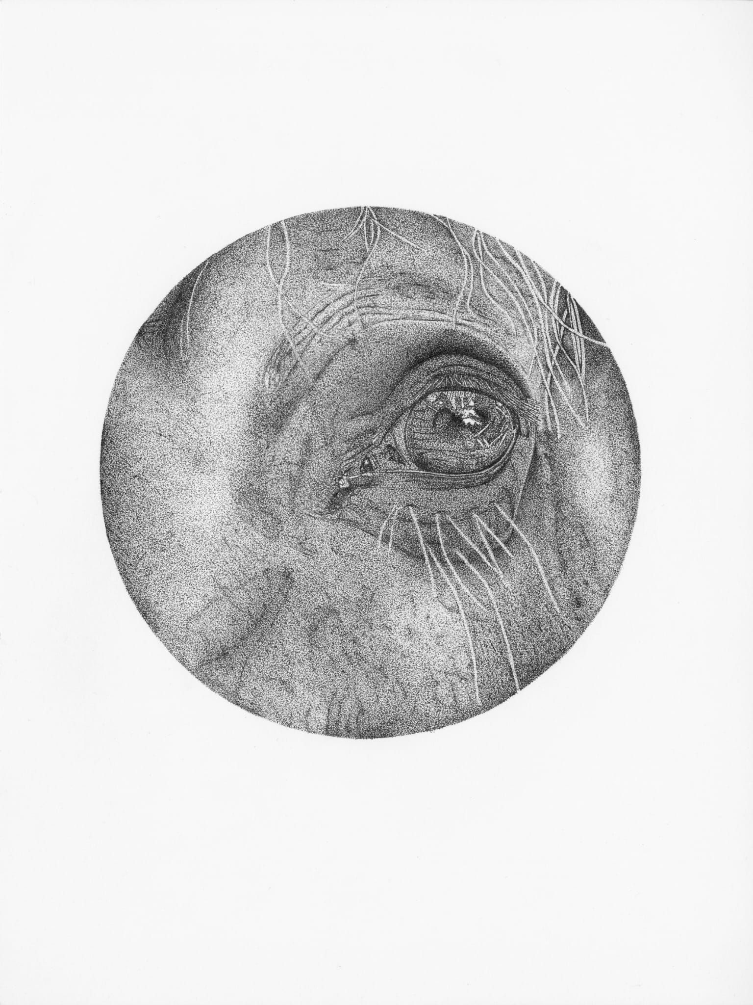 dotwork eye