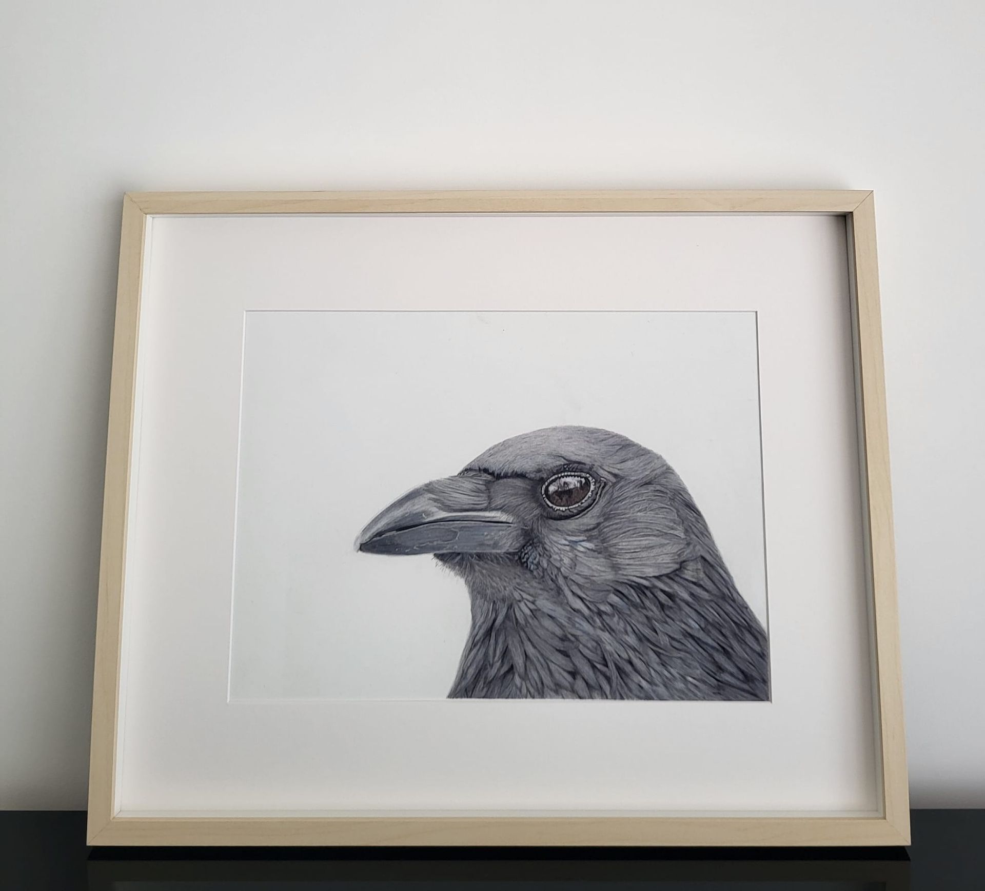 drawing corvid
