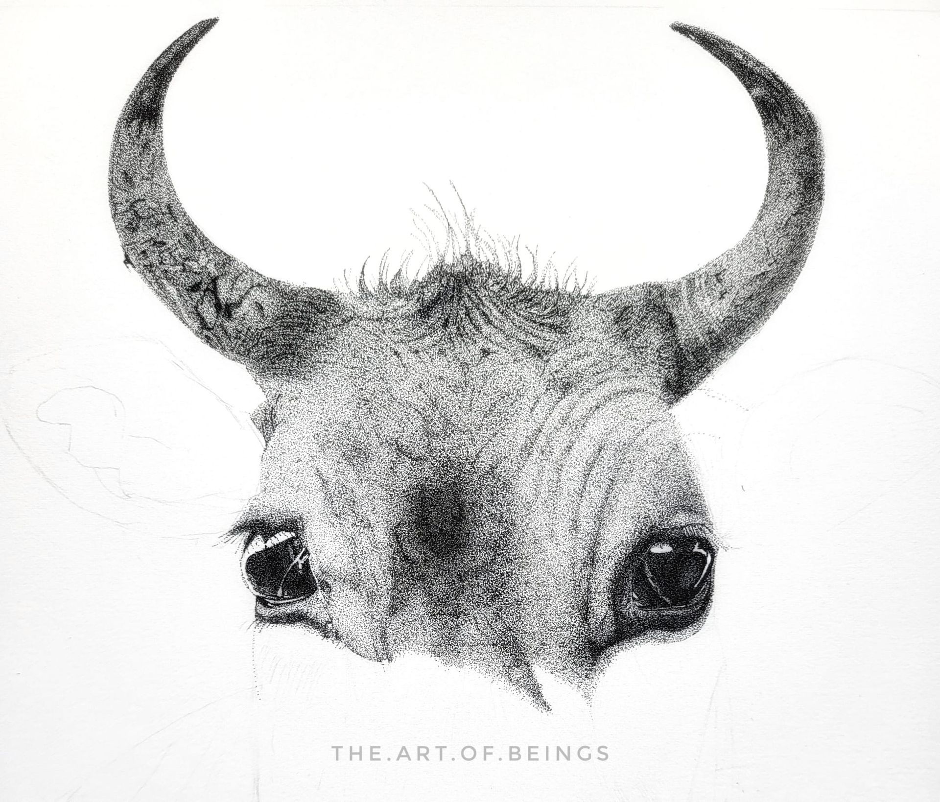 dotwork drawing bull