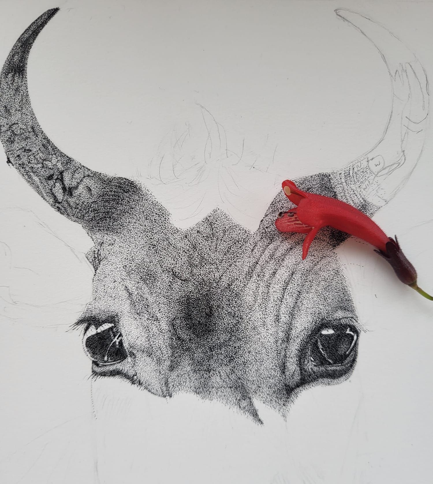 dotwork drawing bull