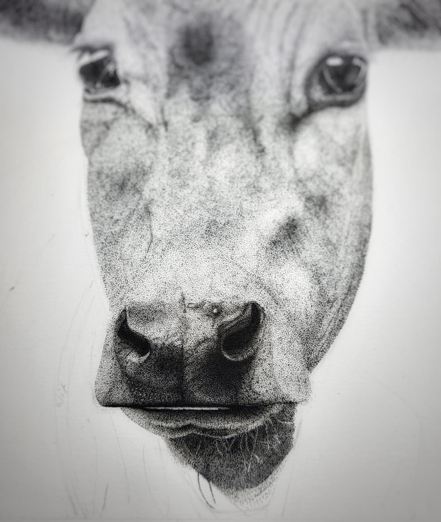 pointilism bull