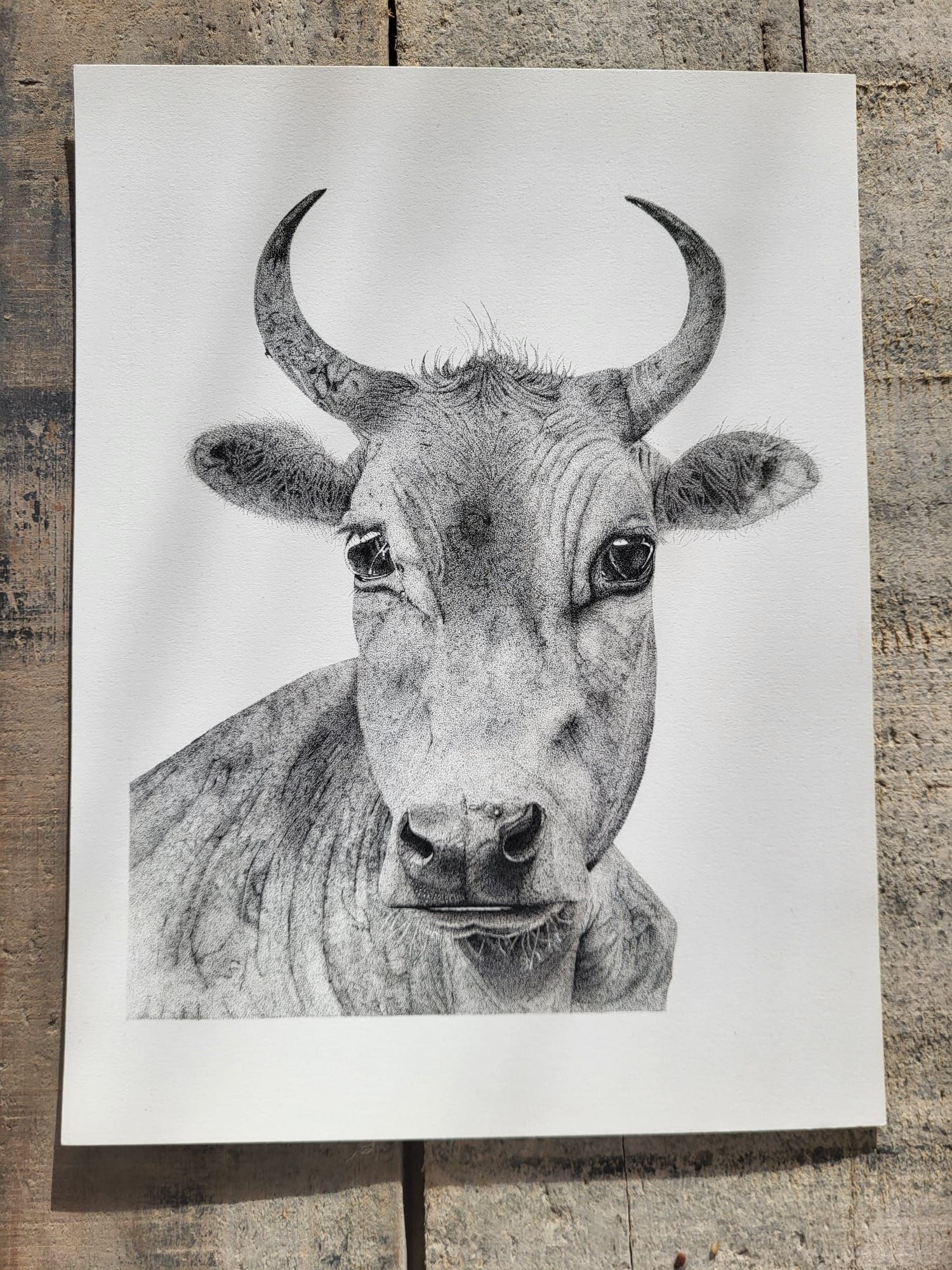 art bull