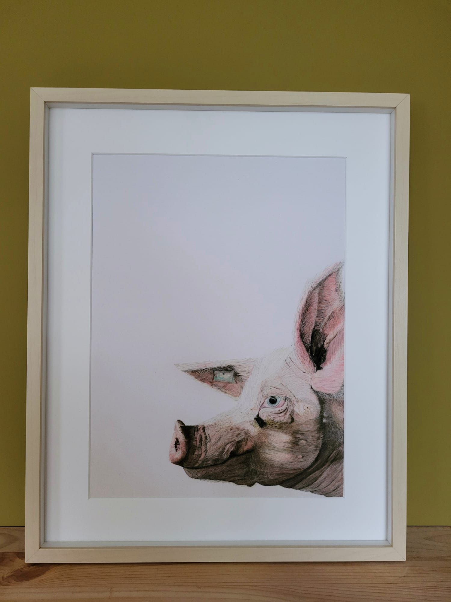 drawing of sam, a pig