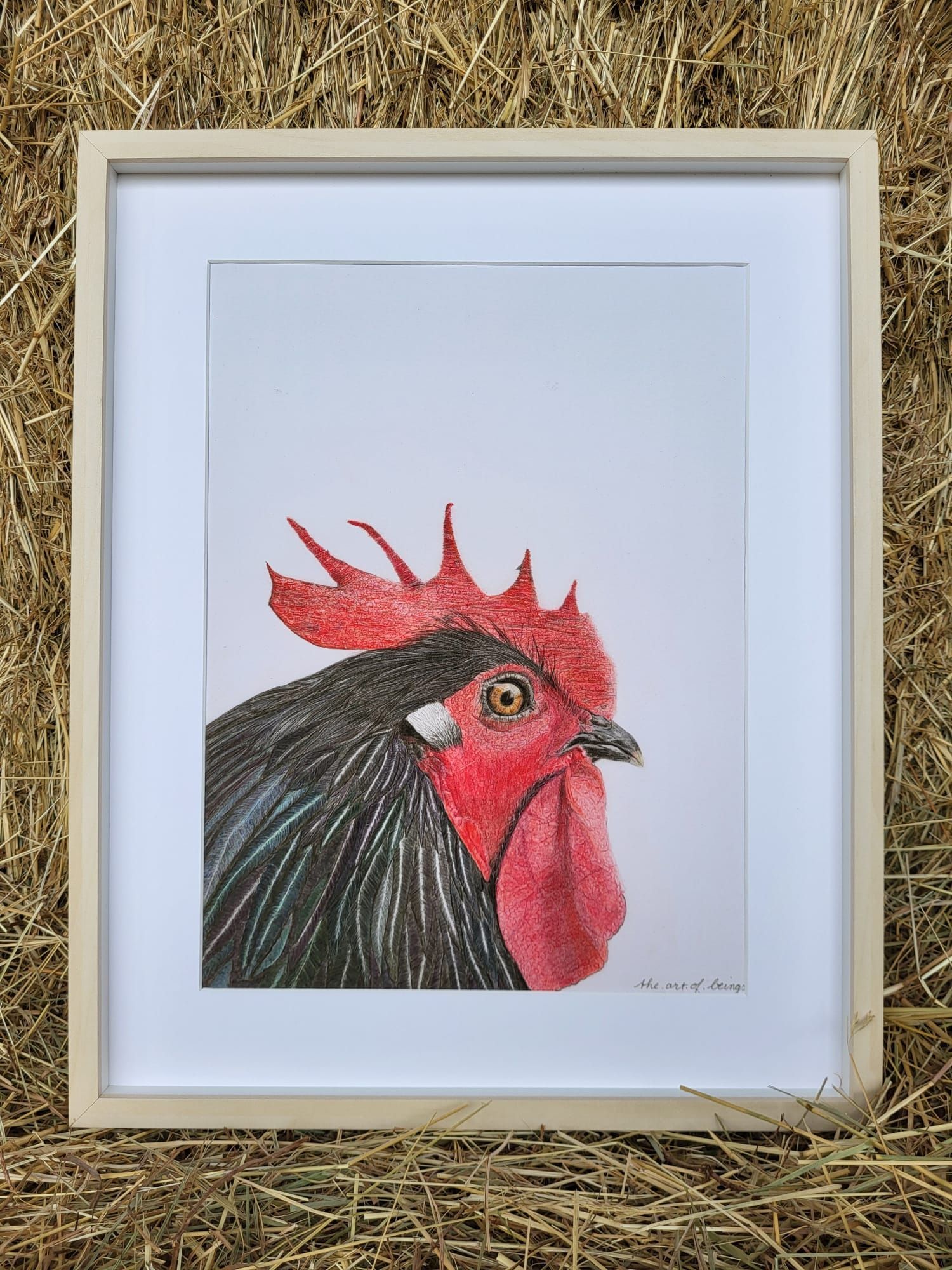 Pencildrawing rooster Max