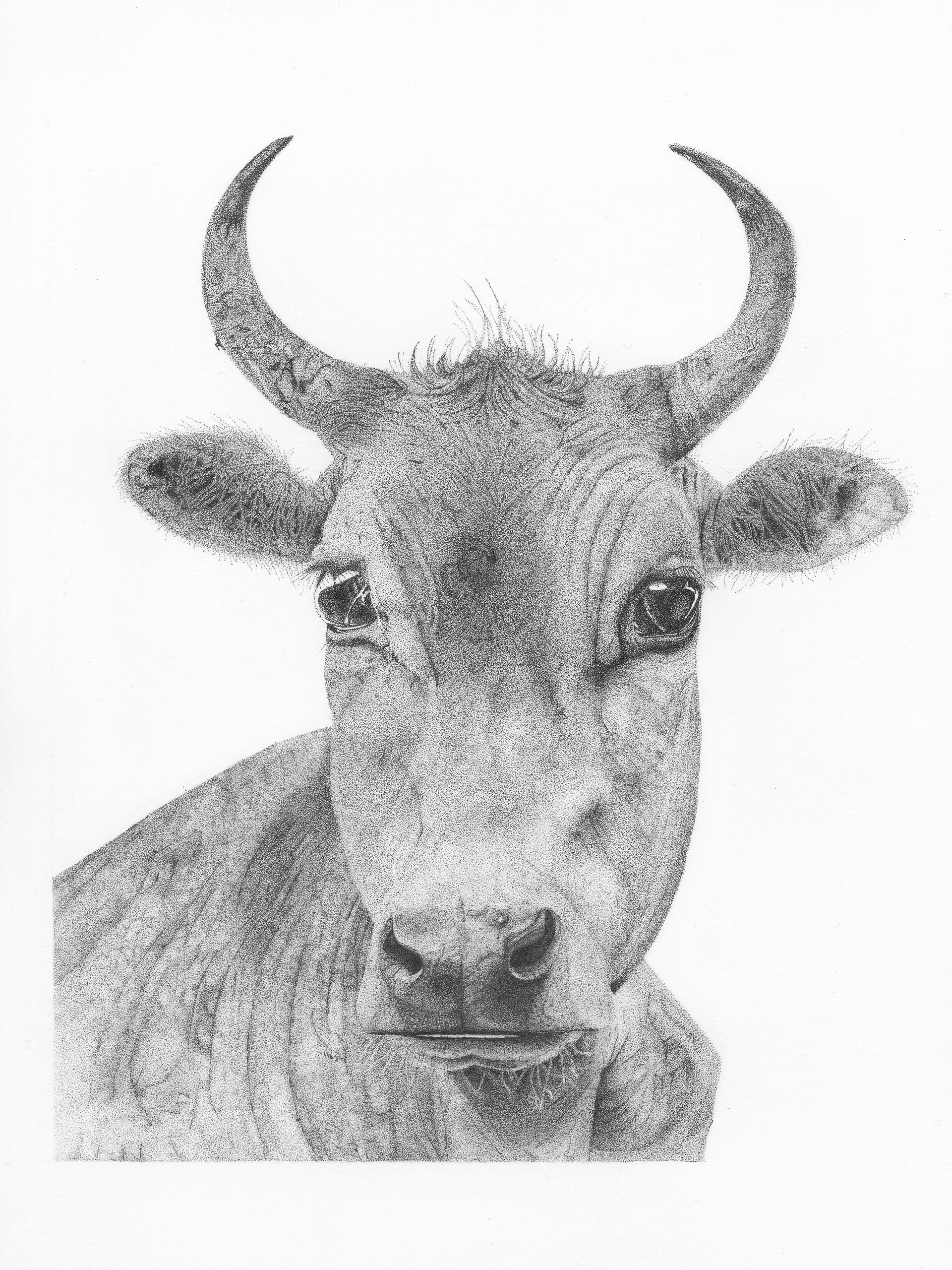 dotwork Titus